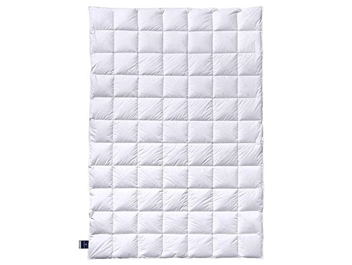 Billerbeck Bettdecke Almira® – 135 x 200 cm – Sommerdecke – Daunendecke mit Gänsedaunen und -Federn, 90% Daune, 10% Federn – Wärmestufe leicht