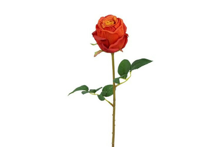 Countryfield zijden Rosa Compasion kussen oranje 60 cm