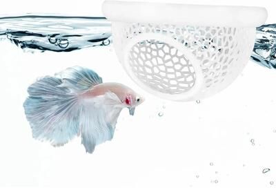 Uplift Essentials Aquarium Floating Cave And Feeding Ring 3 in 1 Shelter For Betta And Shrimp l white