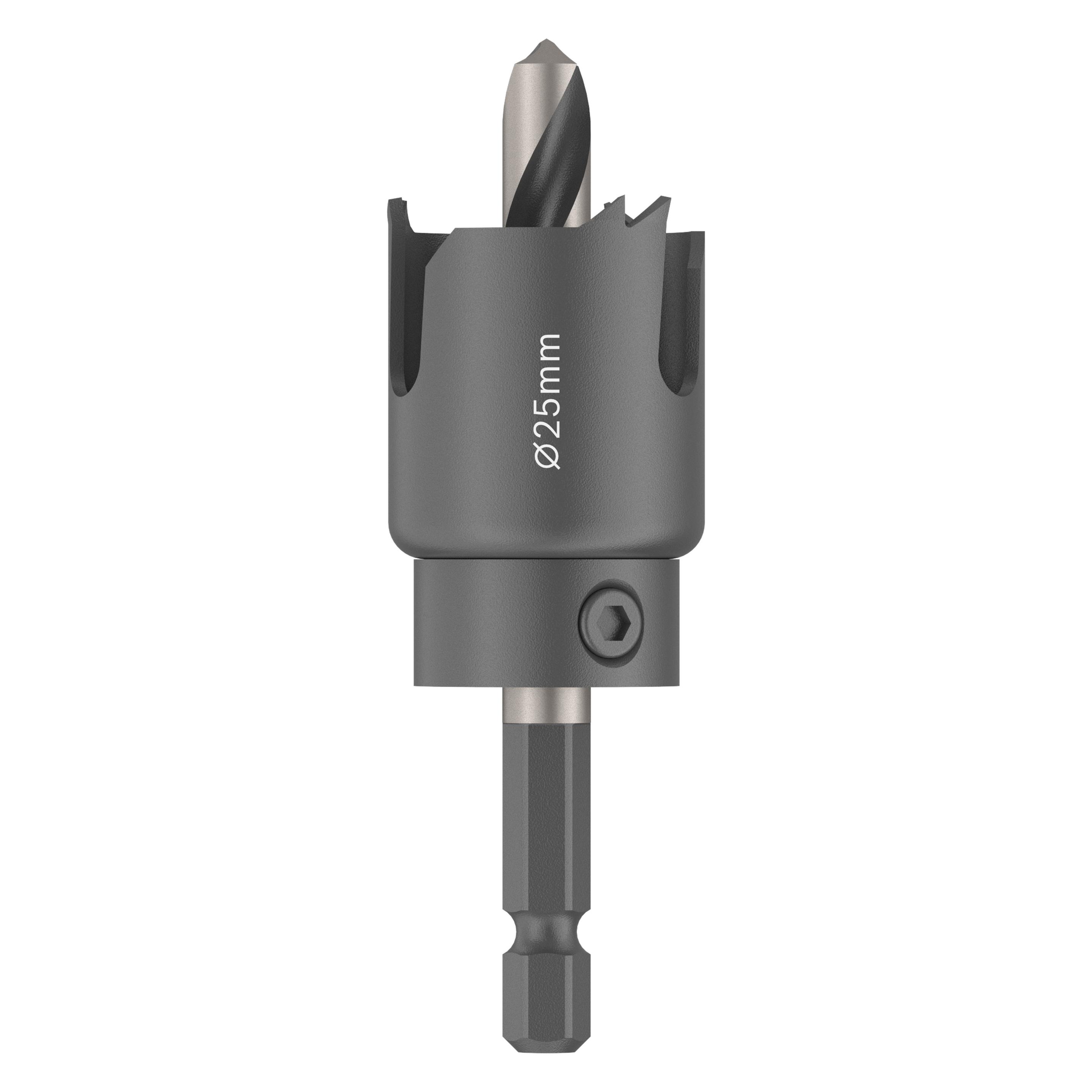 Bosch Professional Zubehör Wood and Drywall Arbored Lochsäge, 25 mm (2608594490)