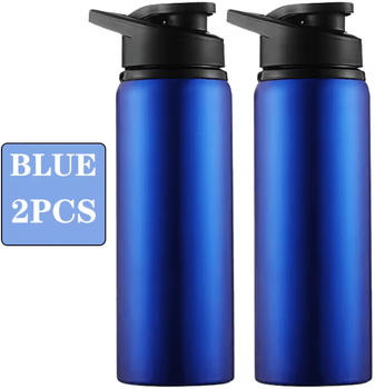 Inspire Essentials Metal Leakproof Water Bottle For Outdoor Sports And Travel b 600ml