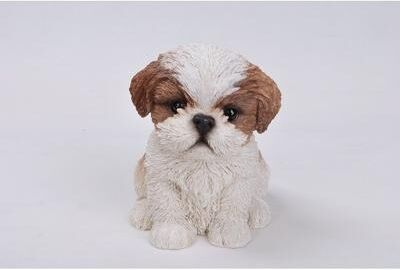 Hi-Line Gift Ltd. Brown & White Shih Tzu Puppy