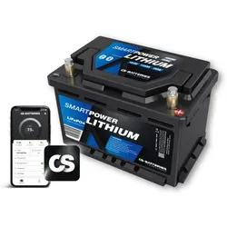 Forster CS 110Ah | 12,8V | 1344Wh | SMART POWER Lithium LiFePO4... - 0% MwST. (Angebot gemäß §12 USt Gesetz.)