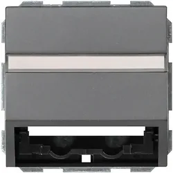 Gira Abdeckhaube Datentech. ant System55 087028