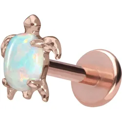 Titan Labret mit Push Fit SCHILDKRÖTE
