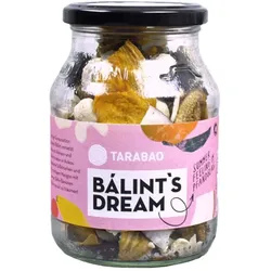 Balint's Dream