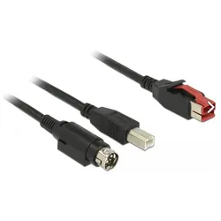 Delock 85487 PoweredUSB Kabel Stecker 24 V (1 m, USB 2.0), USB Kabel