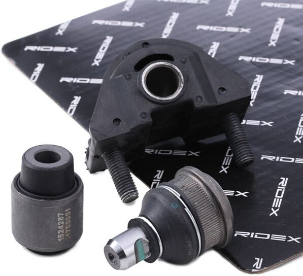 RIDEX 771R0021 Repair kit, wheel suspension