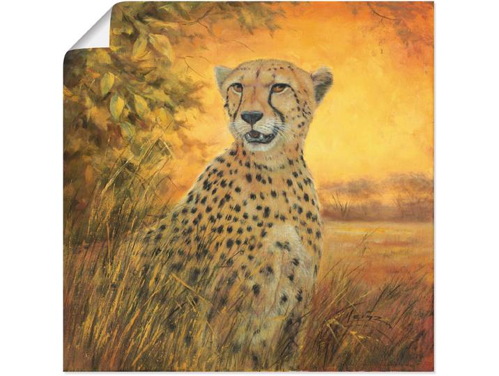 Poster ARTLAND Porträt Gepard , braun (farbe bild(er): braun), B:40cm H:40cm, Bilder, Poster, ohne Rahmen