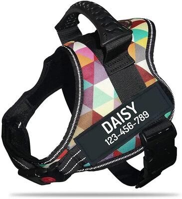 Inspired Living Personalized Adjustable Nylon Dog Vest Harness color Grid xl