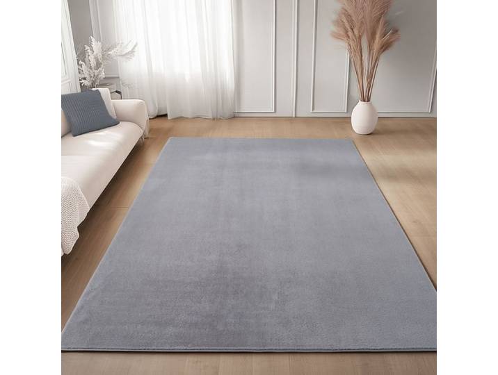 Carpettex Tapis Argent 200x280 cm  Lavable Tapis à Poils Courts Doucement Antidérapant pour Chambre Salon