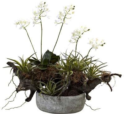 Nearly Natural Orchid and Succulent Garden with Decorative Vase