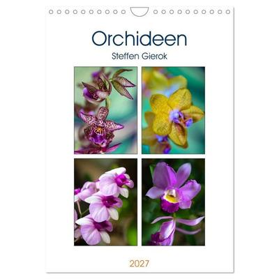 Orchideen (Wandkalender 2027 DIN A4 hoch), CALVENDO Monatskalender