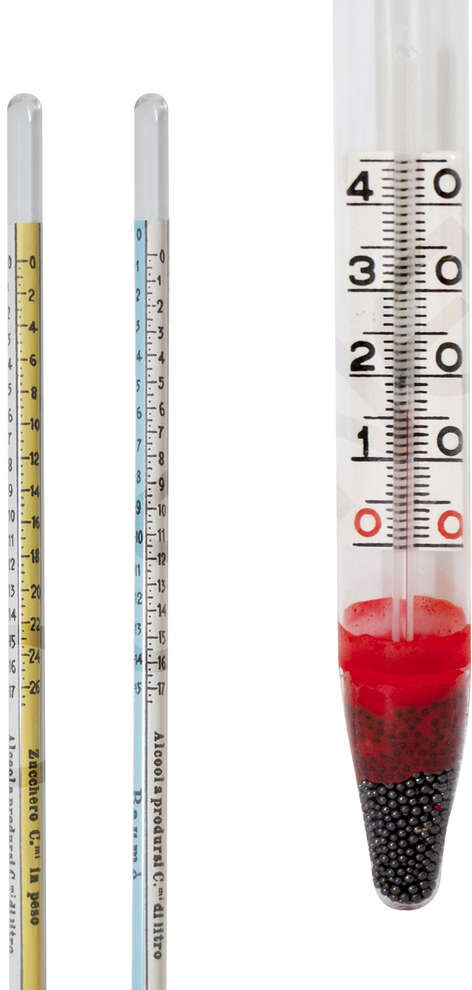Polsinelli Mustimètre Guyot avec thermomètre