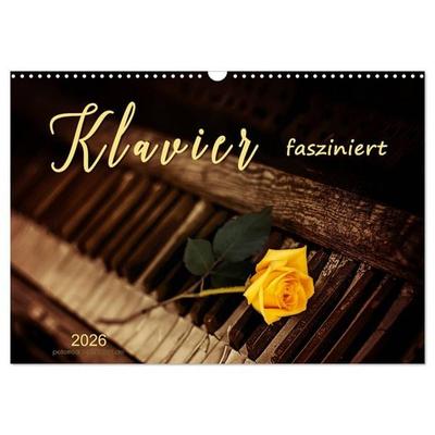 Klavier fasziniert (Wandkalender 2026 DIN A3 quer), CALVENDO Monatskalender