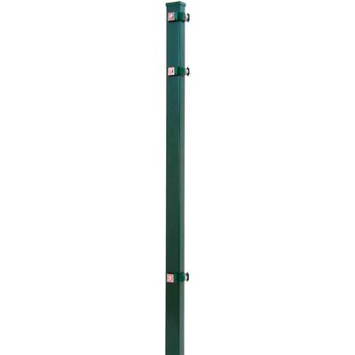 Eckpfosten PEDDY SHIELD, grün, B:4cm H:120cm T:4cm, Stahl, Zaunpfosten, für Ein- und Doppelstabmatten