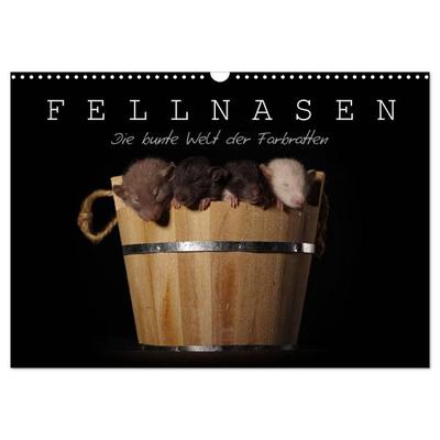 Fellnasen. Die bunte Welt der Farbratten. (Wandkalender 2027 DIN A3 quer), CALVENDO Monatskalender