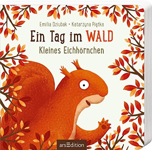 Katarzyna Piętka - Ein Tag im Wald: Kleines Eichhörnchen: Erstes Pappbilderbuch zum Bilderbuchbeststeller Ein Jahr im Wald für Kinder ab 18 Monaten - Preis vom 11.10.2026 03:10:56 h
