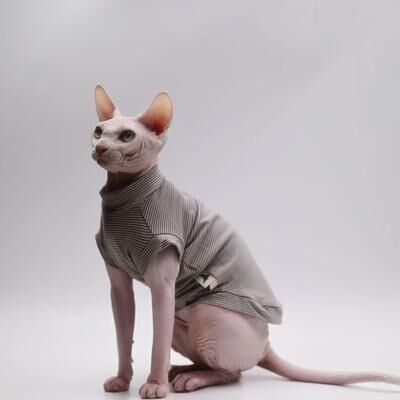 Inspire Essentials Summer Cooling Vest For Hairless Cats 4 l