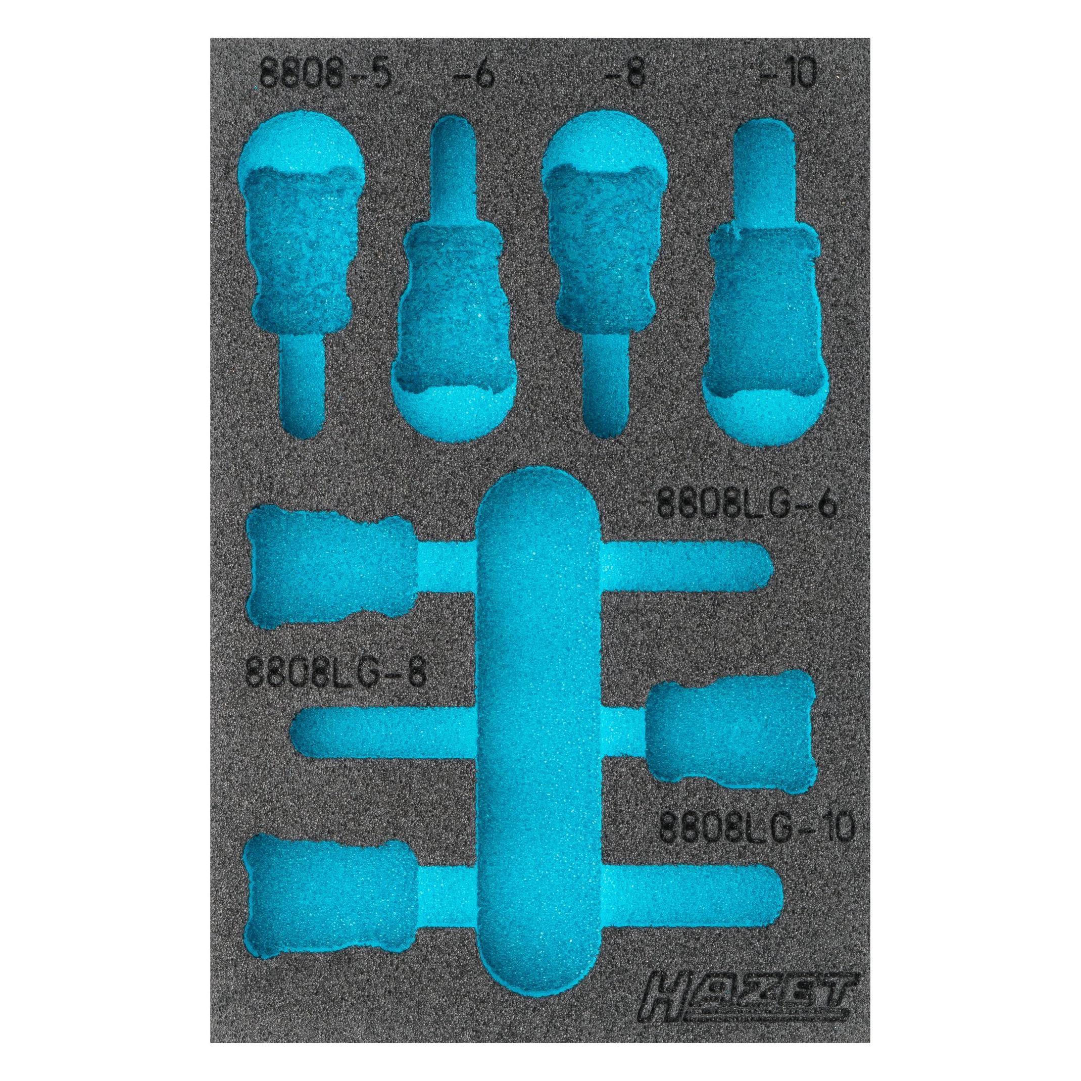 Hazet 2-Komponenten Weichschaum-Einlage 163-460L (163-460L)
