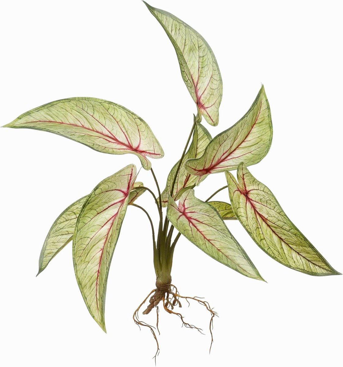 Kunstplant Calathea Groen Rood - Decoratieve plant met realistische uitstraling - Hoogte: 40 cm