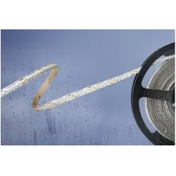 Barthelme Basic, LED Streifen, 51540134 51540134 LED-Streifen mit offenem Kabelende 24 V/DC 5 (Kaltweiss, Weiss, 500 cm, Indoor, Outdoor)