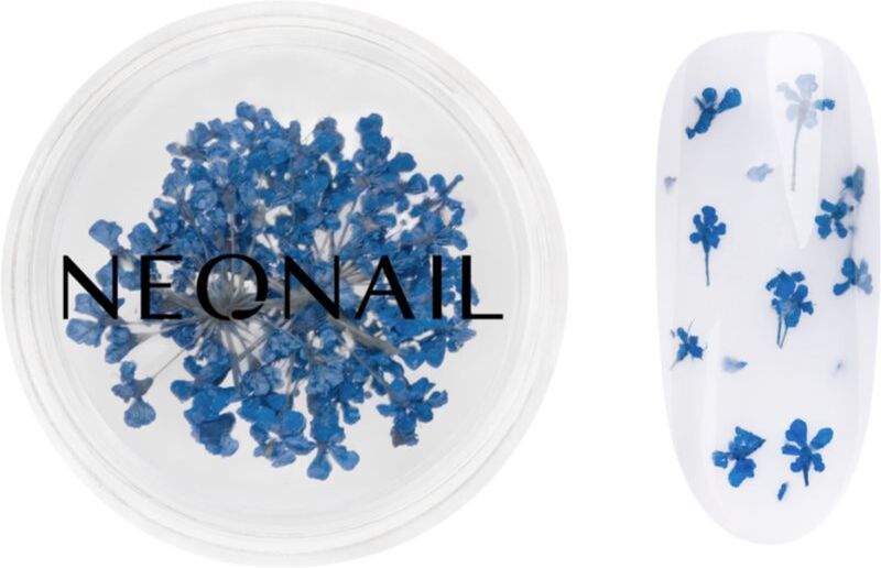 NEONAIL Dried Flowers dried blossom for nails shade 04 Navy 1 pc