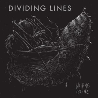 Waiting For Life - Dividing Lines, Vinyl