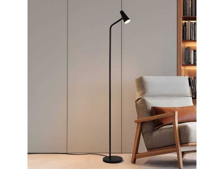 Lampadaire LED Type A 20 x 151 x 25cm Noir Fer, laqué LED Module LED