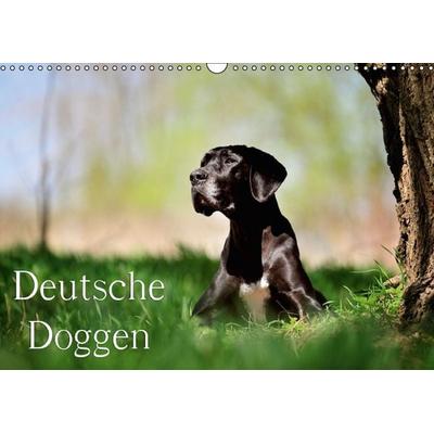 Deutsche Doggen / Geburtstagskalender (Wandkalender immerwährend DIN A3 quer)
