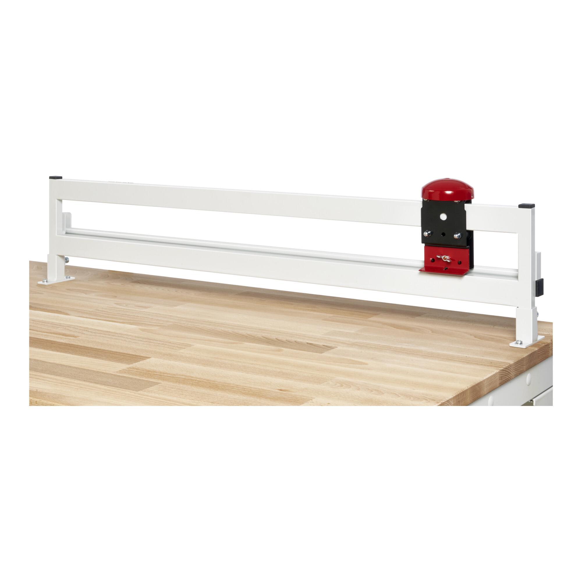Rau Schneidgerät zur Plattenmontage, B1250(1225)xT85xH250 mm (09-SG-TM-1250)