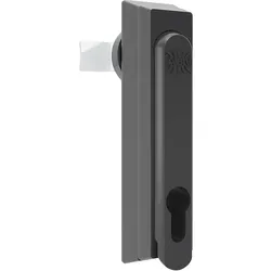 ABN Schwenkhebel GDV120N10 (VE10)