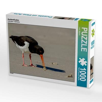 CALVENDO Puzzle Austernfischer | 1000 Teile Lege-Größe 64x48cm Foto-Puzzle für glückliche Stunden