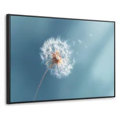 LEINWAND Bilder mit Rahmen - Löwenzahn - Wind - Blau - 90x60