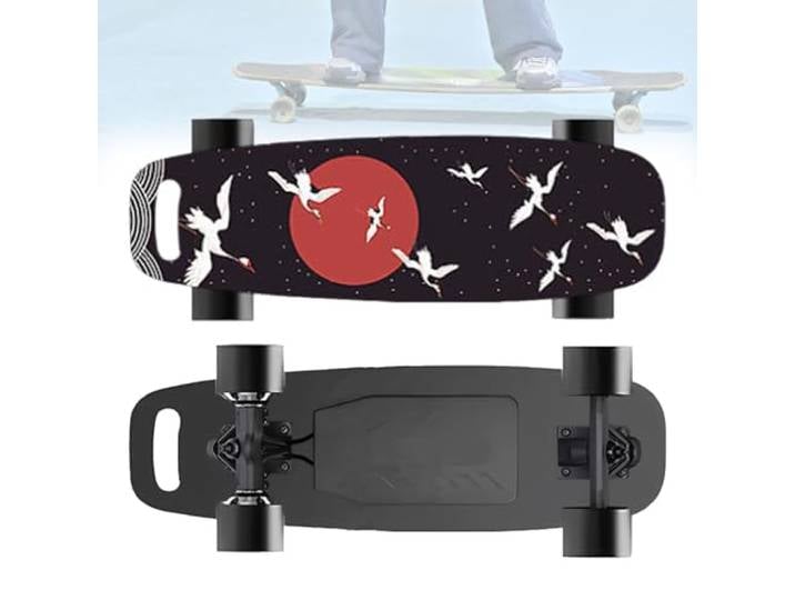 Zowdrix Elektro-Skateboard mit Fernbedienung, Höchstgeschwindigkeit 35 km/h, 7 Schichten Ahorn, 700-W-Motor, Longboard-Skateboard zum Abhängen mit Freunden C-30KM