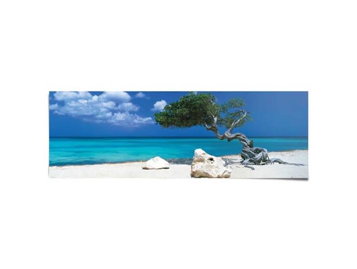 Poster Divi Divi boom 53 x 158