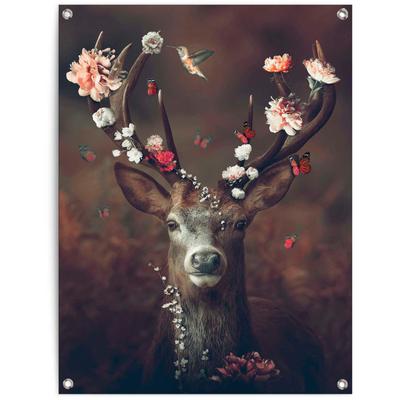 Poster REINDERS "Hirsch", braun (farbe bild(er): braun), B:60cm H:80cm T:0,1cm, Leinwand, Bilder, Poster