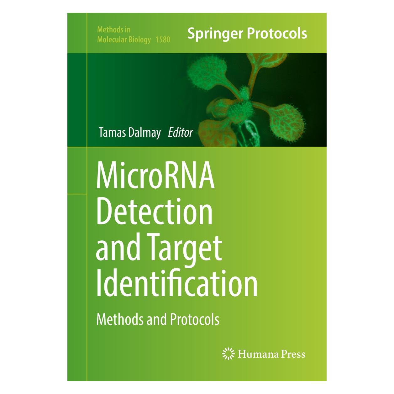 Springer MicroRNA Detection and Target Identification (Englisch, Hardcover, Tamas Dalmay) (9781493968640)