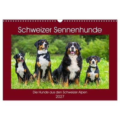 Schweizer Sennenhunde - die Hunde aus den Schweizer Alpen (Wandkalender 2027 DIN A3 quer), CALVENDO Monatskalender