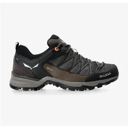 Salewa, Herren, Wanderschuhe, Mountain Trainer Lite GORE-TEX (44.5), Braun