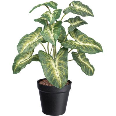 Künstliche Zimmerpflanze CREATIV GREEN "Syngonium Pixie", grün, H:38cm, Kunstpflanzen, Künstliche Zimmerpflanze, mit grüngelben Blättern