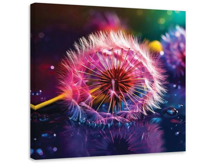 Feeby Leinwandbild Pusteblume Makro Abstraktion 50x50cm, Lila, Baum/Pflanze/Natur, Quadratisch, 50x50 cm, Bilder & Rahmen, Bilder, Leinwandbilder