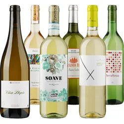 Delinat-Entdeckerpaket Weisswein 6 Flaschen Wein aus reicher Natur, Bio Probierpakete