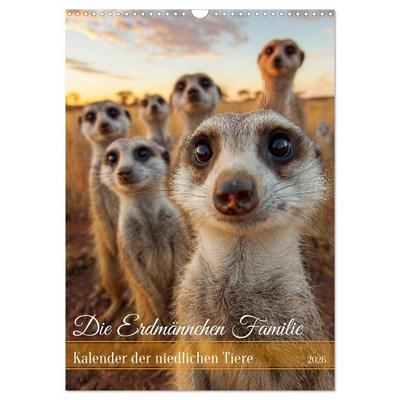 Die Erdmännchen Familie - Kalender der niedlichen Tiere (Wandkalender 2026 DIN A3 hoch), CALVENDO Monatskalender