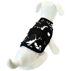Martin Sellier 5TH (M, Hund, Spazieren), Halsband + Leine