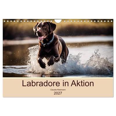 Labradore in Aktion (Wandkalender 2027 DIN A4 quer), CALVENDO Monatskalender