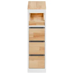 SCHRANK zur Toiletten-Nutzung BZR54-III-WN