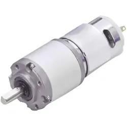 Drive-System Europe, Elektromotor, DSMP320 - 24 - 0189 - BF