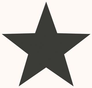 Galerie Wallcoverings Style Sisters Classic Single Star Design Non-woven Wallpaper Roll