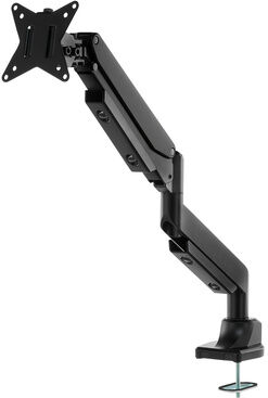 Roadworx VESA Monitor Arm noir